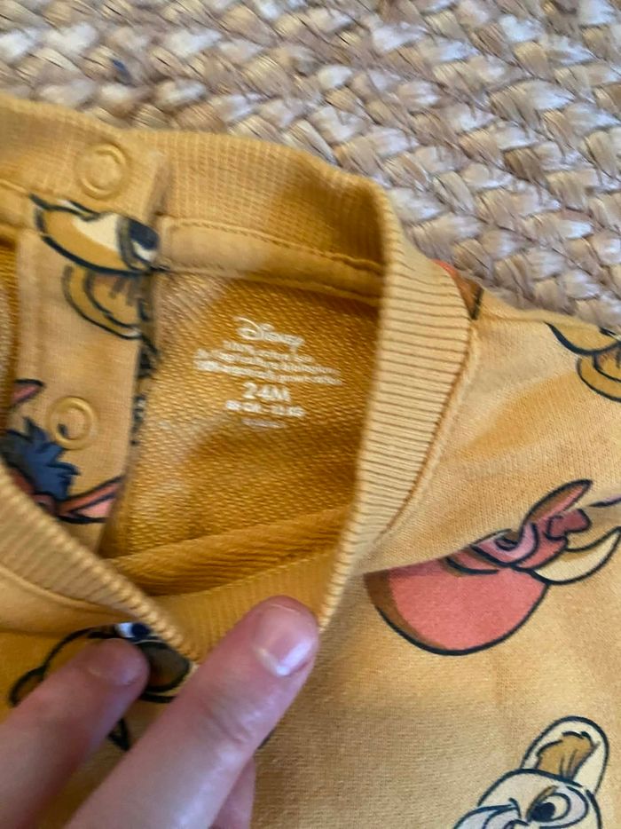 Sweat 24 mois roi lion simba disney - photo numéro 3