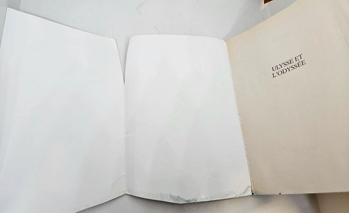 "Ulysse et l'Odyssée", de Homère.
Le livre de poche.
192 pages.
ISBN : 2.01.322272.6 - photo numéro 2