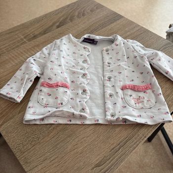 Veste