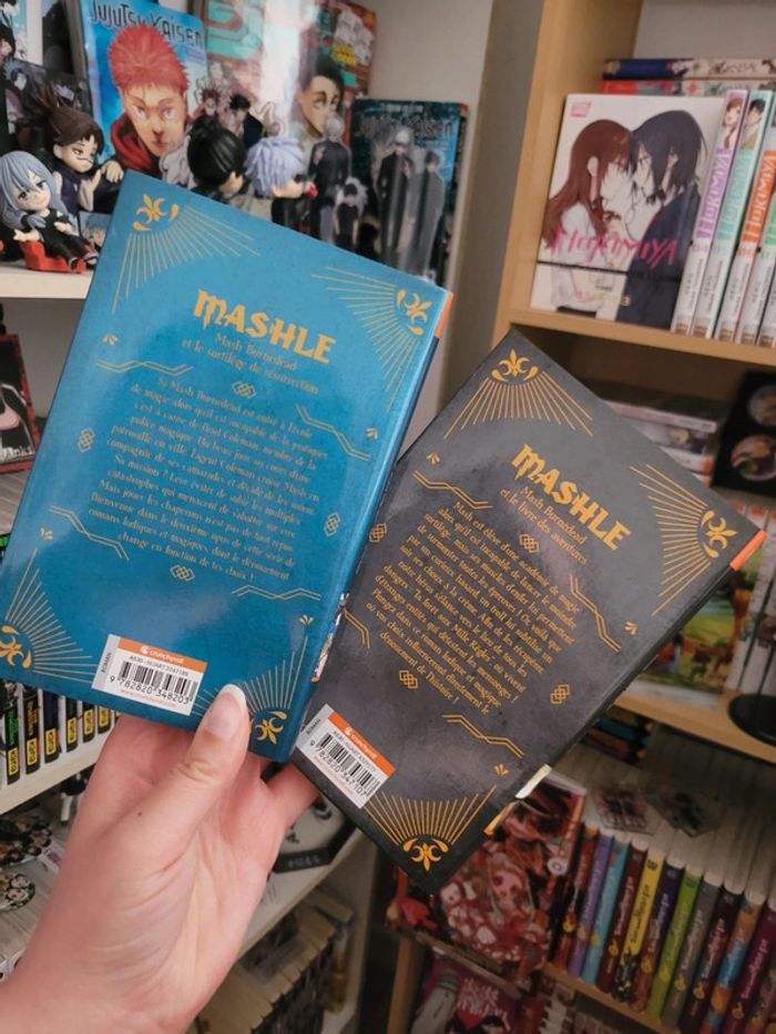 Lot deux romans du manga mashle - photo numéro 2