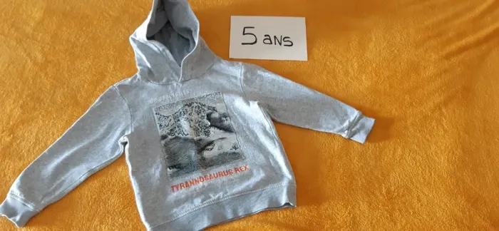 Pull dinosaure