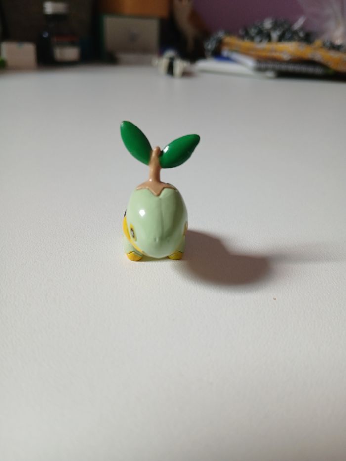 Tortipousse Pokémon - photo numéro 2