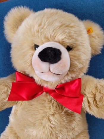 Énorme ours peluche Steiff miel crème clair grand 54cm noeud rouge collection traditionnel