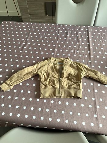 Veste