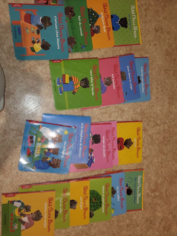 Livres petit ours brun  x21
