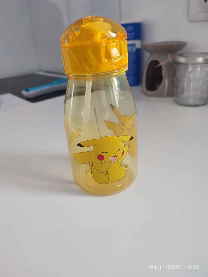 Gourde Pokémon - photo numéro 2