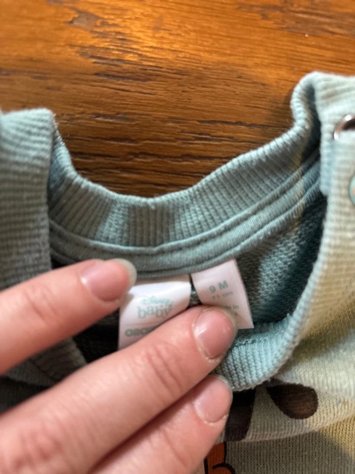 Pull dingo - photo numéro 2