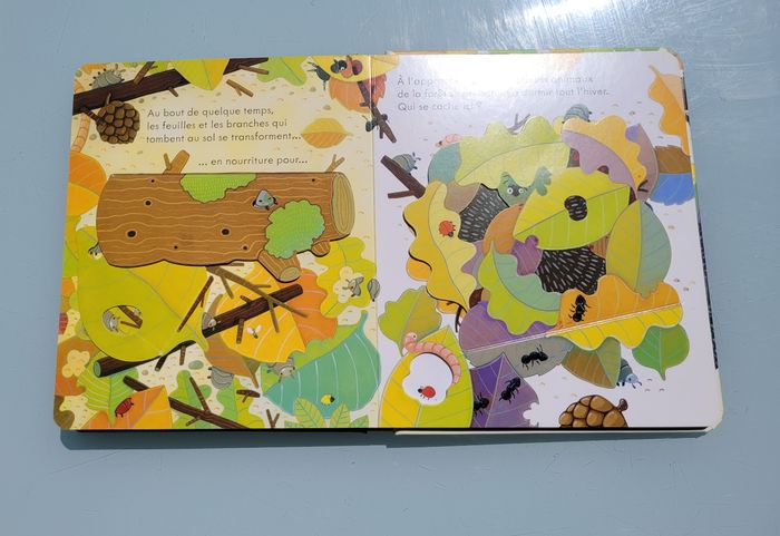 Usborne, livre collection coucou 🌲 Coucou! La Forêt 🍁 - photo numéro 8