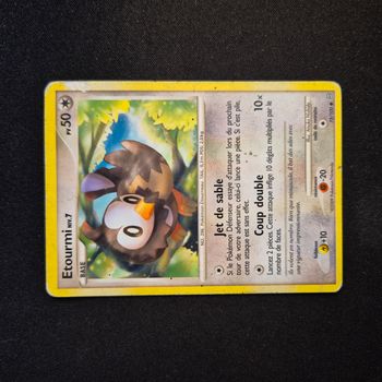 Carte Pokemon : Etourmi - Tempête