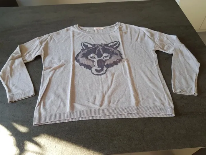 Pull gris loup Camaïeu M - photo numéro 6