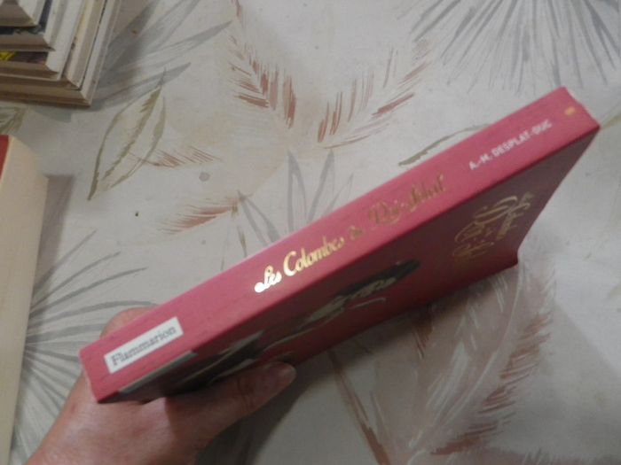 Les Colombes du Roi-Soleil n°05 Le rêve d'Isabeau de A.M. Desplat-Duc Ed. Flammarion - photo numéro 3