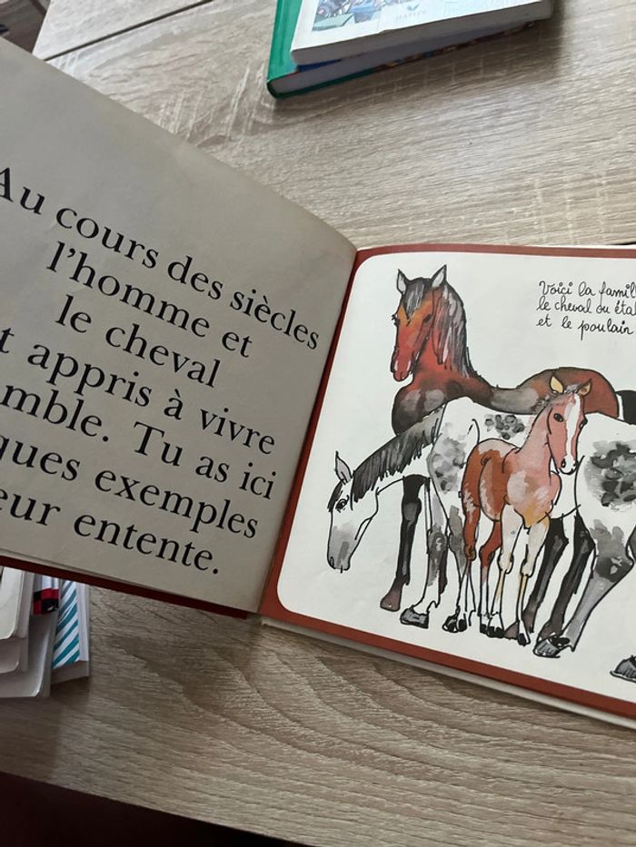 Livre première encyclopédie pour enfants Les chevaux - photo numéro 4