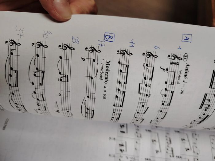 Le rythme au fil des œuvres solfège niveau 1C.4 - photo numéro 4