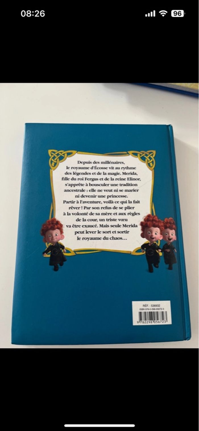 Rebelle - photo numéro 5