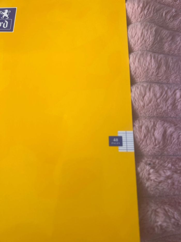 Cahier - photo numéro 2