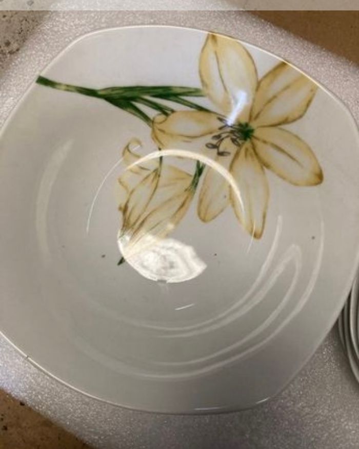 Service à vaisselle porcelaine 19 pièces blanche lys