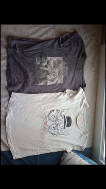 3 Tee-shirts fille ado 12€