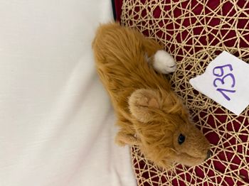 peluche vintage 1986 Humane Society Red