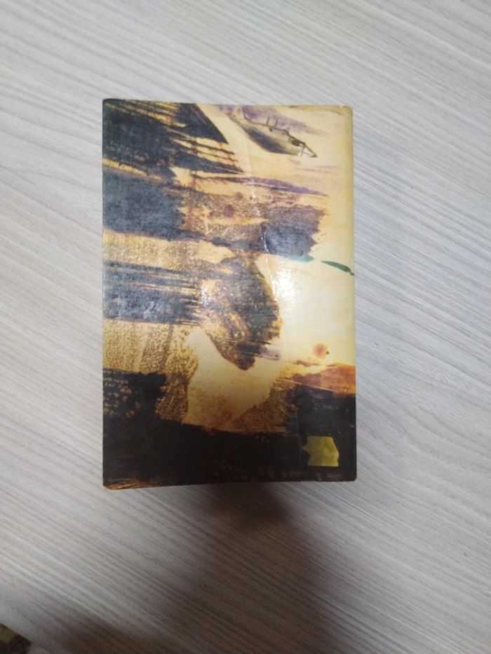 Livre Antoine de Saint-Exupéry Pilote de guerre - photo numéro 2