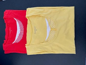 Lot 2 t shirts Canda taille M 