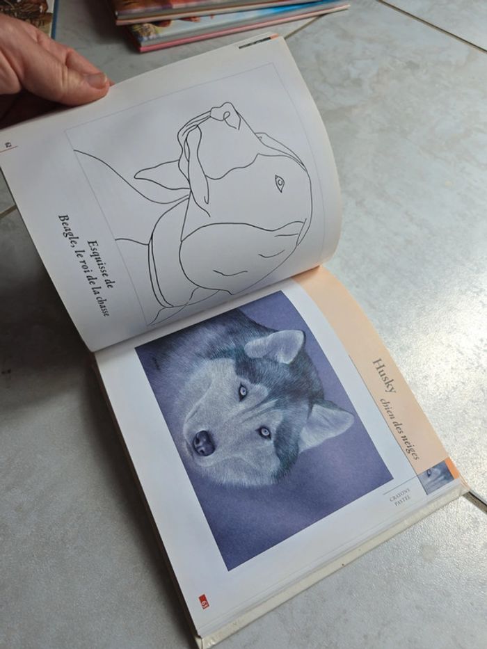Dessiner des animaux #orianabllivre - photo numéro 4