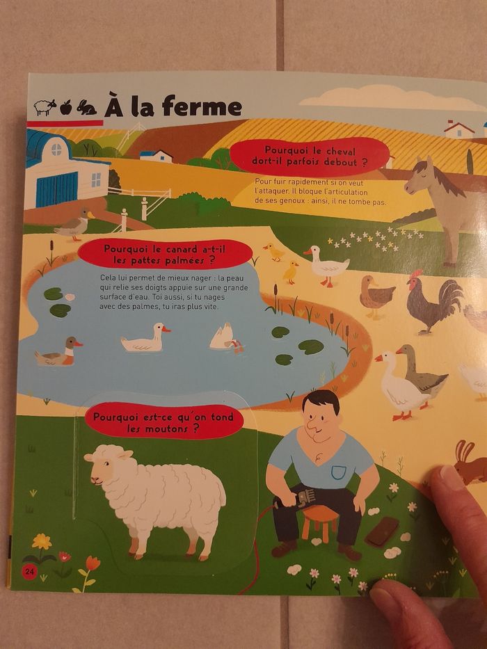 Kididoc des pourquoi - photo numéro 6