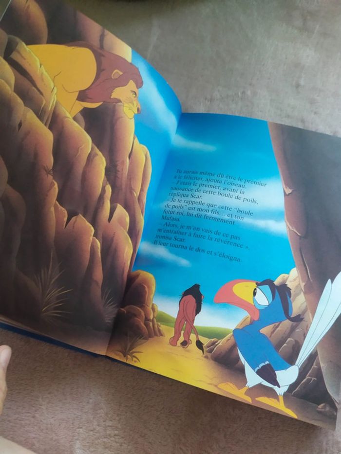 Livre Roi Lion - photo numéro 7