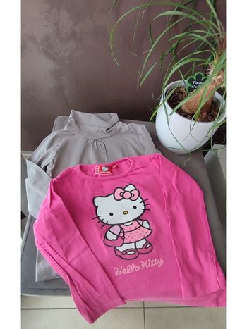 Lot 2 tee-shirts manches longues 3 ans