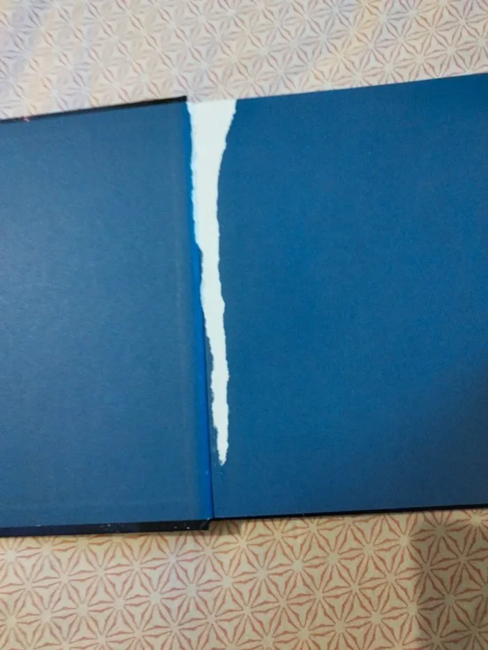 Mortelle Adèle et la galaxie des bizarres - photo numéro 3