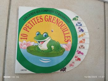10 petites grenouilles