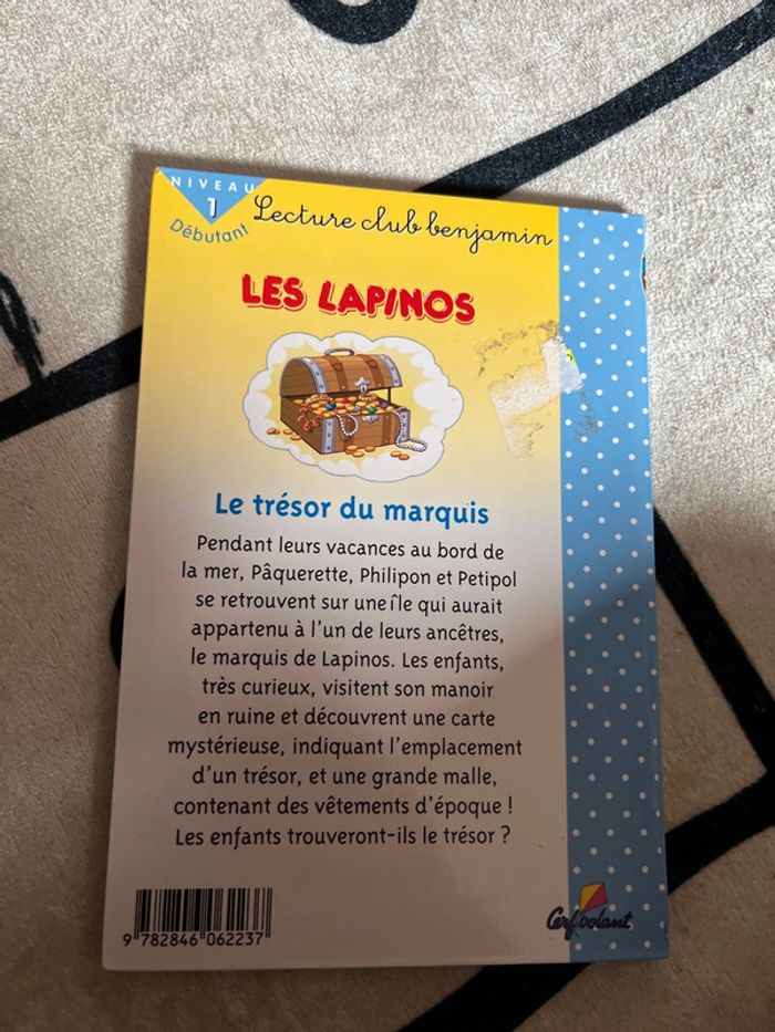 Lecture CP niveau 1 les lapins - photo numéro 2
