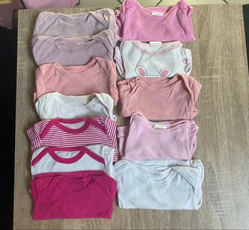 Lot 12 bodies 