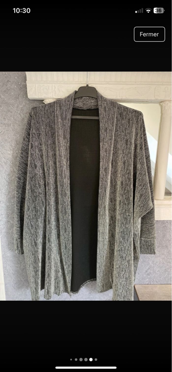 Ensemble pantalon argenté - photo numéro 5