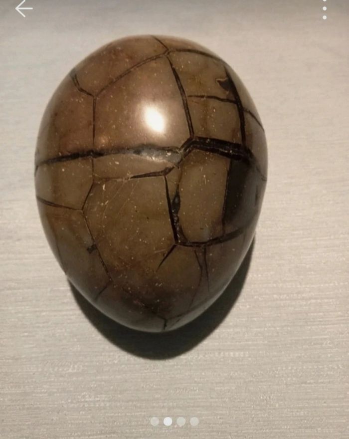 Œuf septaria - photo numéro 4