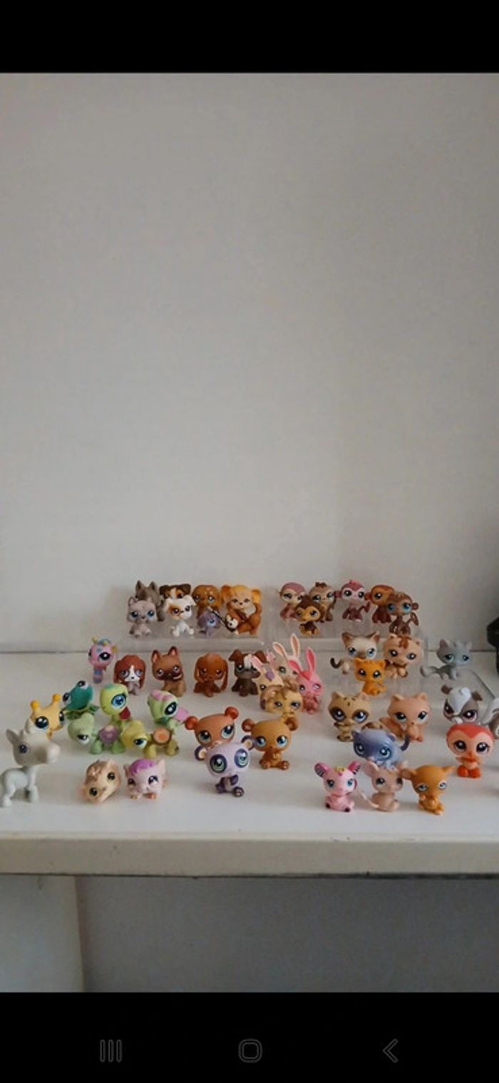 Littlest petshop
