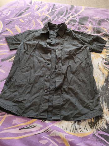 Chemises manches courtes