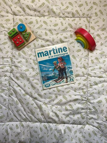 livre Martine à la montagne casterman