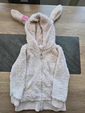 Vestes polaire