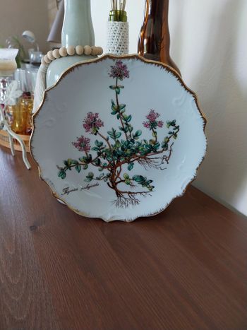 Assiette décorative Thymus pulegioidesi