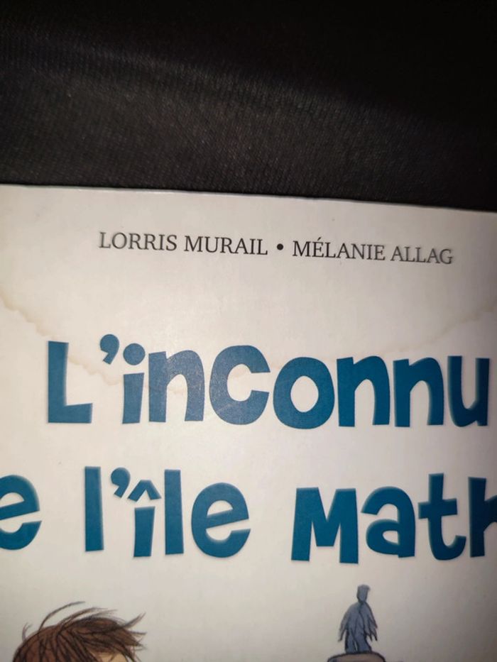 Livre l'inconnu de L'île Mathis - photo numéro 3