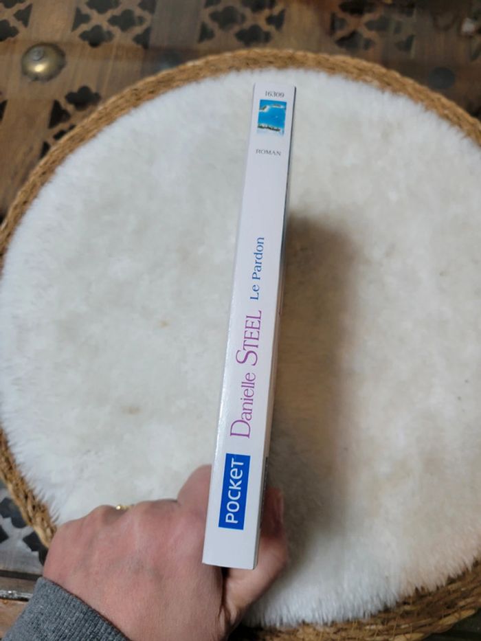 Le Pardon. Danielle Steel - photo numéro 2