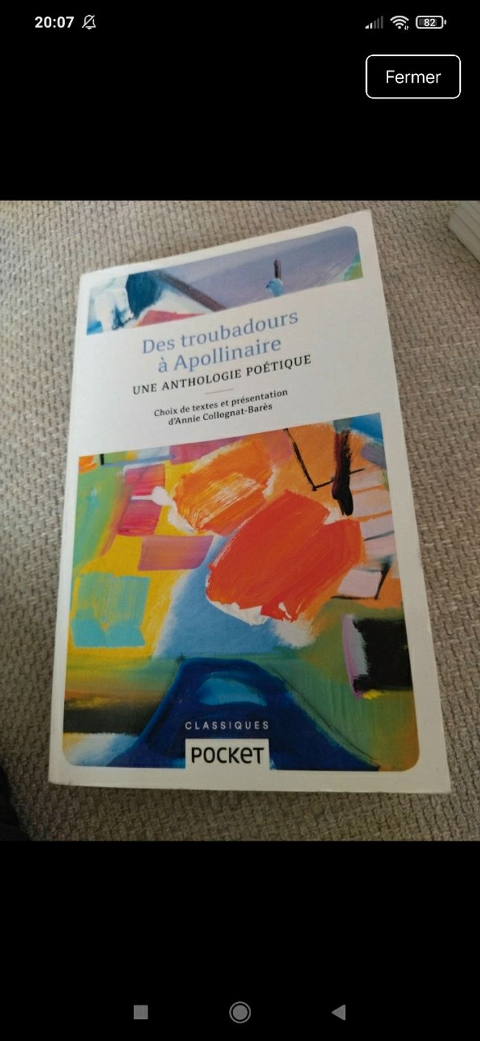 Des troubadours à Apollinaire