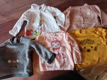 Pulls et veste