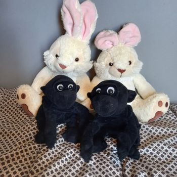 Lot "Jumeaux"