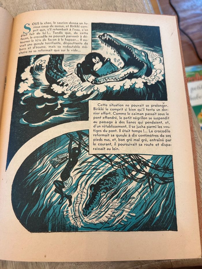 Livre ancien rare Birikiki dans la forêt vierge Roger Roux Pierre Probst éditions puits pelu Lyon - photo numéro 8