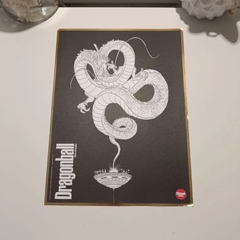 Manga shikishi dragon ball