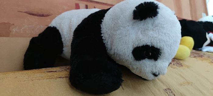 Peluche Panda 🐼
