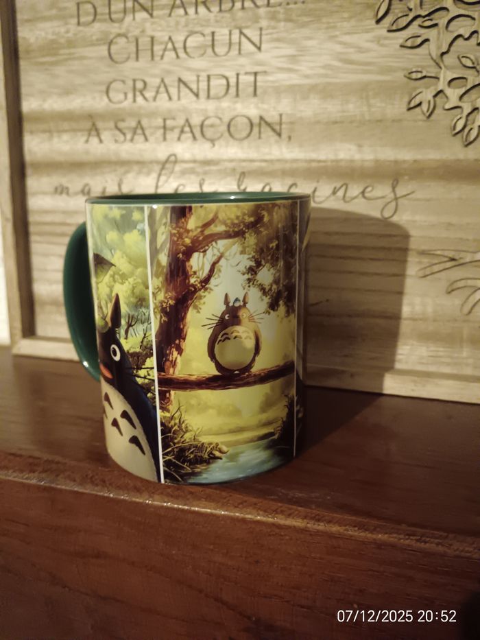 Mug Totoró - photo numéro 2