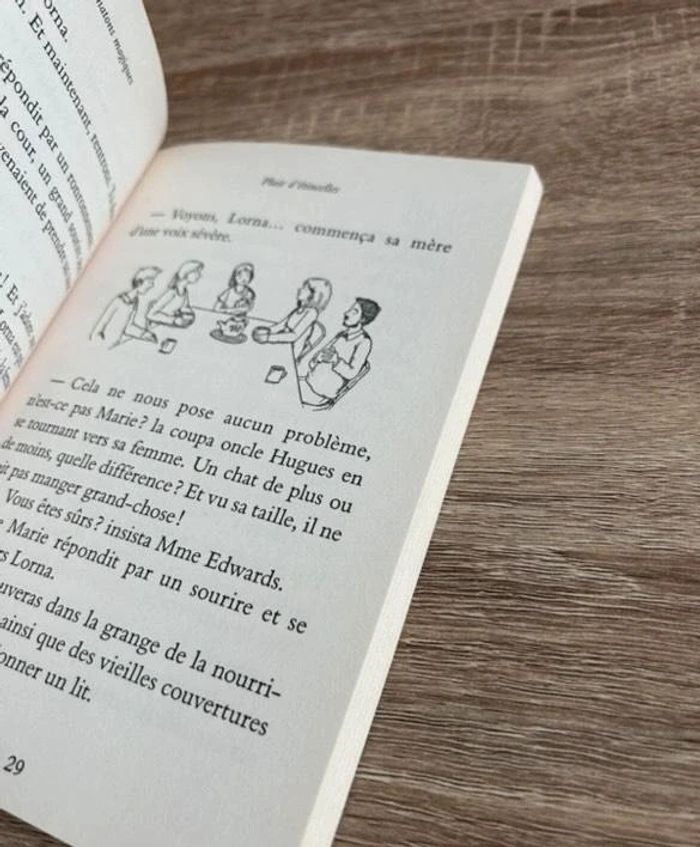 Lot de 2. Livres - photo numéro 6