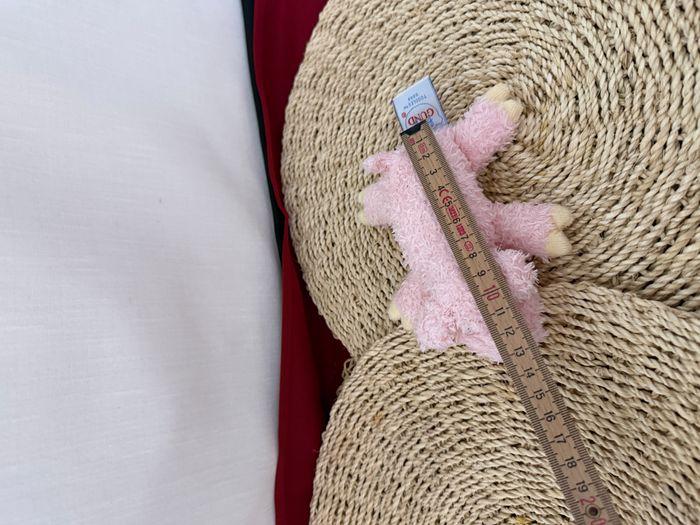 Peluche hochet rose petit mini Baby Gund Toodles cochon peluche cochon - photo numéro 5